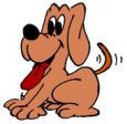 Petcare